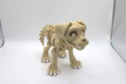 Skeleton Collections
