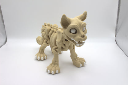 Skeleton Collections