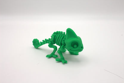 Skeleton Collections