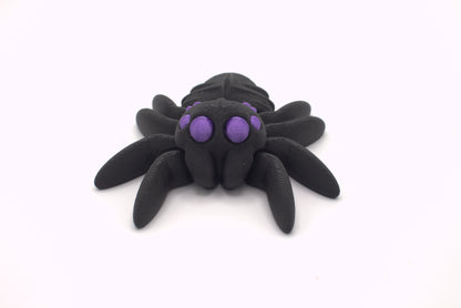 Spiders