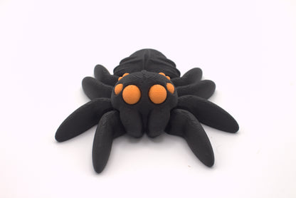 Spiders