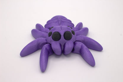 Spiders