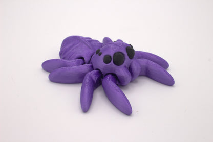 Spiders