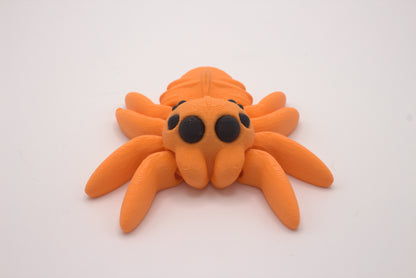 Spiders