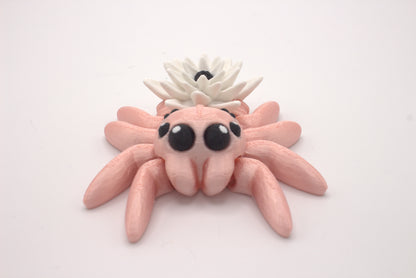 Spiders