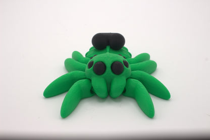 Spiders