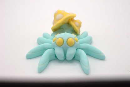 Spiders