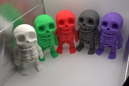 Skeleton Collections