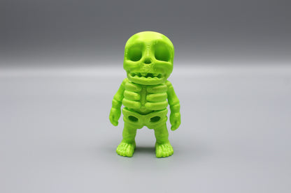 Skeleton Collections