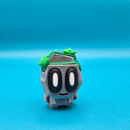 Pet Rocks & Plants